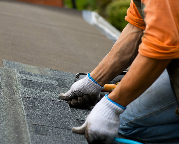 Best Metal Roofing Contractor  in North Little Rock, AR