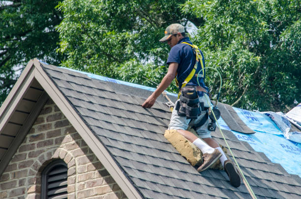 Professional Roofing Contractor in North Little Rock, AR